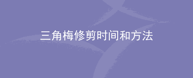 三角梅修剪时间和方法