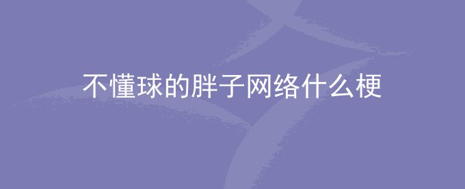 不懂球的胖子网络什么梗