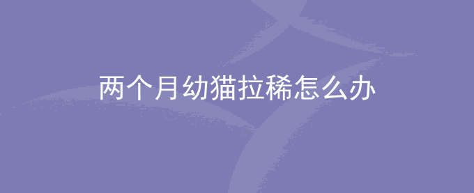 两个月幼猫拉稀怎么办