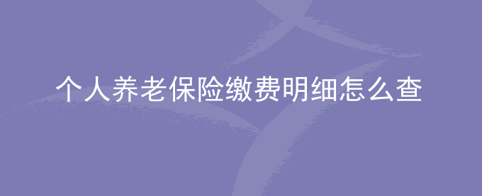 个人养老保险缴费明细怎么查询?