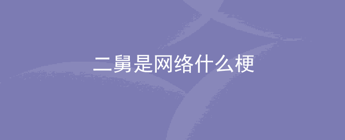 二舅是网络什么梗