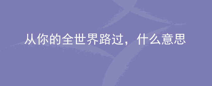 从你的全世界路过,什么意思