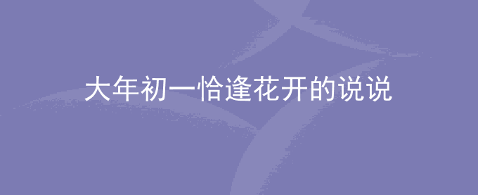 大年初一恰逢花开的说说