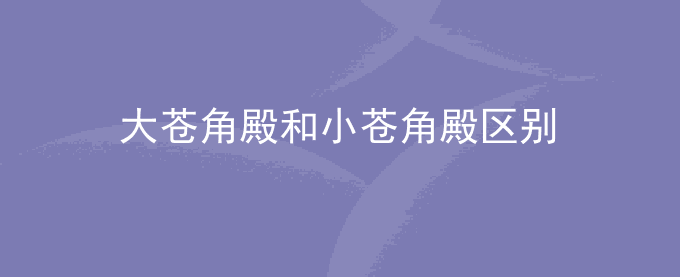 大苍角殿和小苍角殿区别