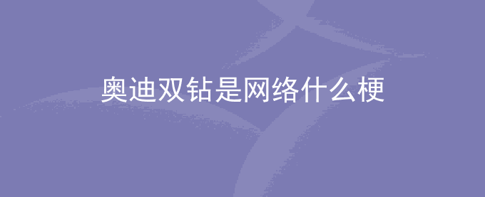 奥迪双钻是网络什么梗