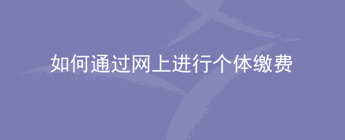 人在外地如何在吉林通过网上进行个体缴费