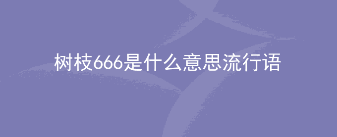 树枝666是什么意思流行语