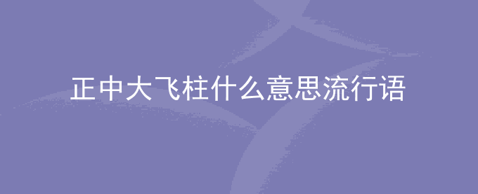 正中大飞柱什么意思流行语