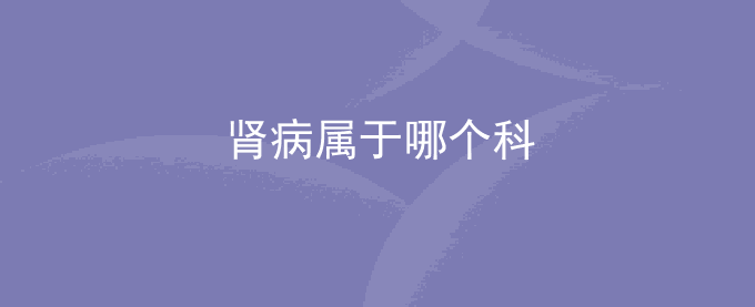 肾病属于哪个科