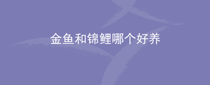 金鱼和锦鲤哪个好养