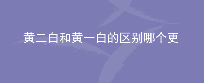 黄二白和黄一白的区别哪个更白