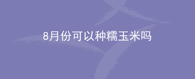 8月份可以种糯玉米吗