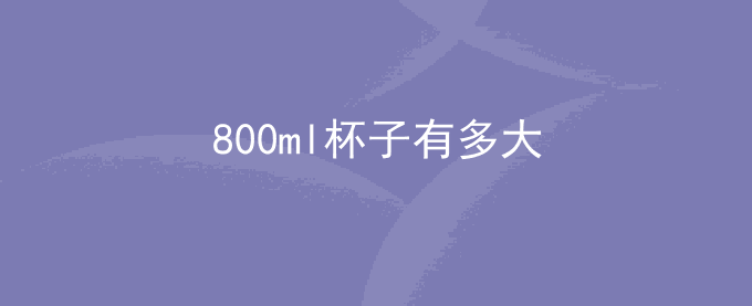 800ml杯子有多大