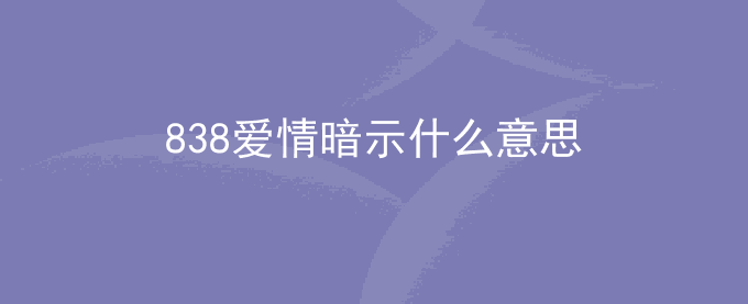 838爱情暗示什么意思