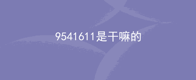 9541611是干嘛的