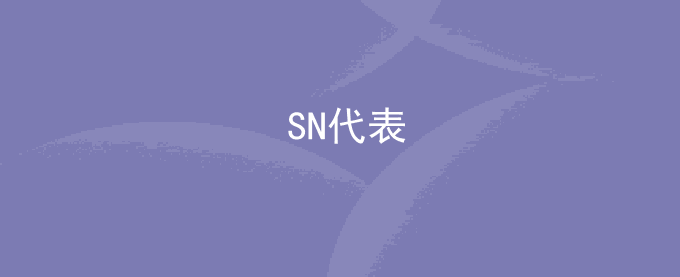 SN代表