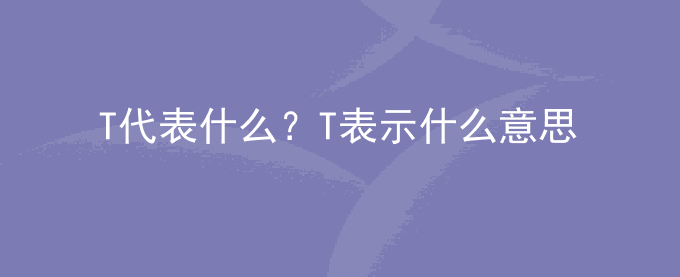 T代表什么？T表示什么意思