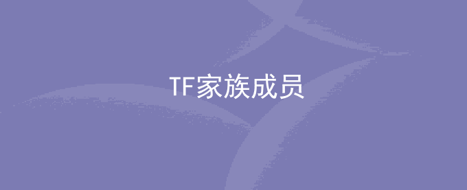 TF家族成员