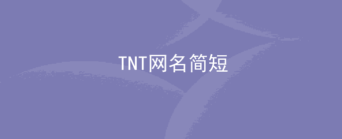 TNT网名简短