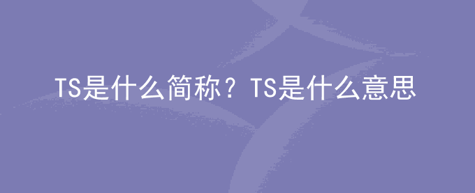 TS是什么简称？TS是什么意思