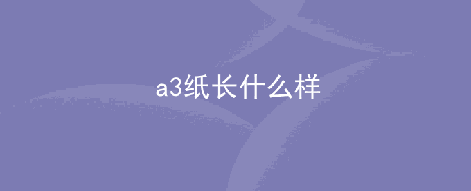 a3纸长什么样