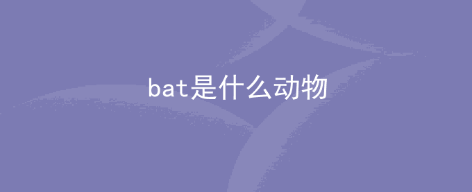 bat是什么动物