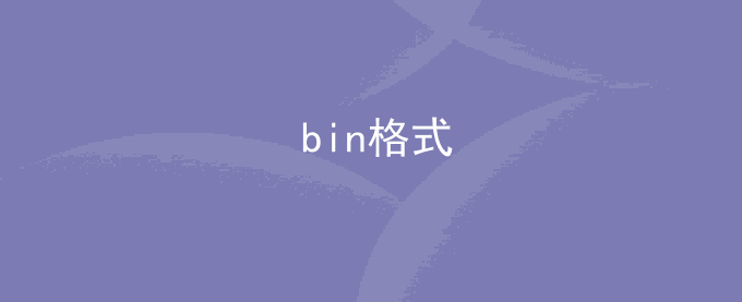 bin格式
