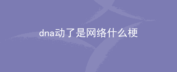 dna动了是网络什么梗