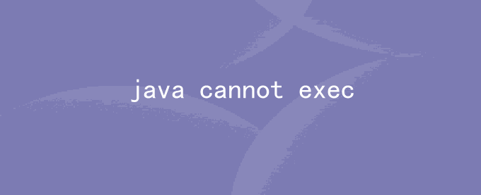 linux安装java后运行出现cannot execute binary file