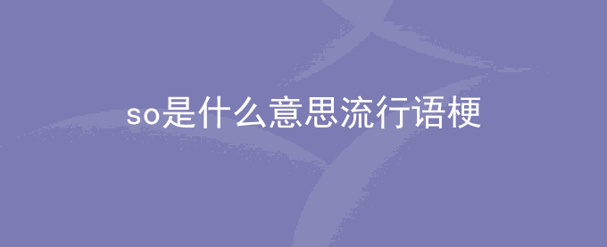 so是什么意思流行语梗