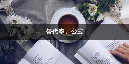 替代率,公式