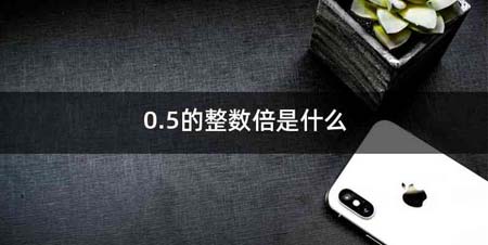 0.5的整数倍是什么