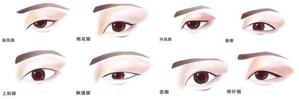 人的眼睛分为哪几种类型