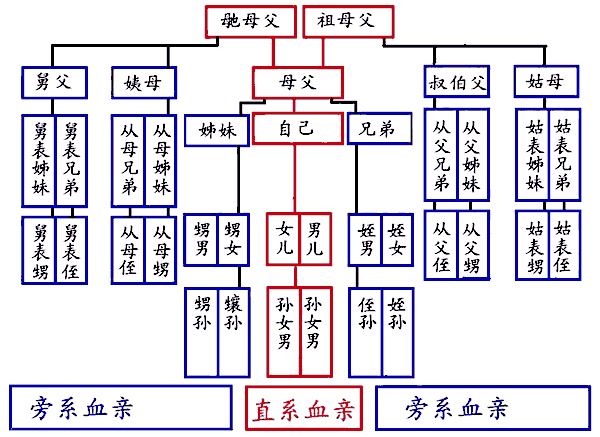 三代以内旁系血亲包括哪些人