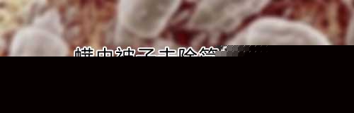 螨虫被子怎么去除简单方