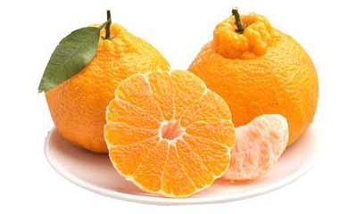 “不知火”是哪种水果的学名？不知火丑橘