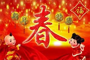 过年：美加州将中国农历新年定为法定假日
