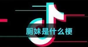 厕妹是什么意思？厕女用语意思