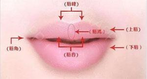 什么叫仰月唇？标准的仰月口特征图片 