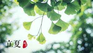 立夏的“夏”在古代是什么意思?