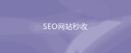 SEO优化:网站秒收录如何做到？网页快速收录