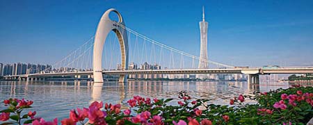 羊姓在哪个省份