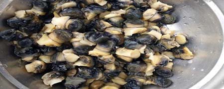 螺狮肉后面黄的能吃吗