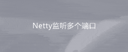 框架Netty TCP服务监听多个端口