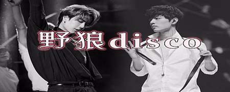 野狼disco的hook是什么