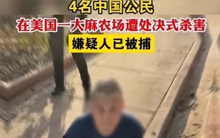 恶之花绽放的土地含义
