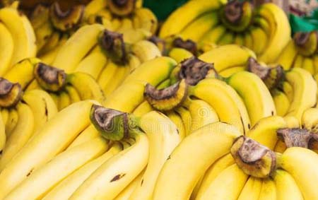 夏天香蕉可以放冰箱吗吃不完怎么放