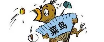 菜鸟是什么意思流行语