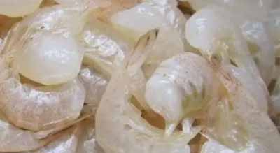 白米虾有什么功效？