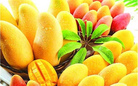 一定不能放冰箱的食物有什么